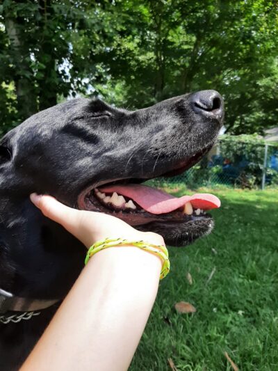 Crooked Oak Playground - Hebron, MD