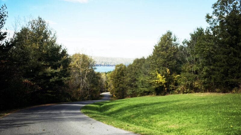 Smith Memorial Park - Hector, NY