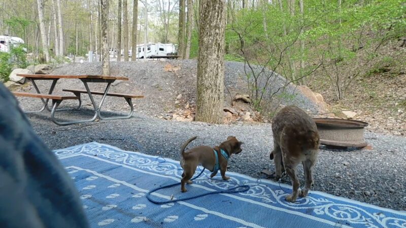 Camp-A-While - Hegins, PA