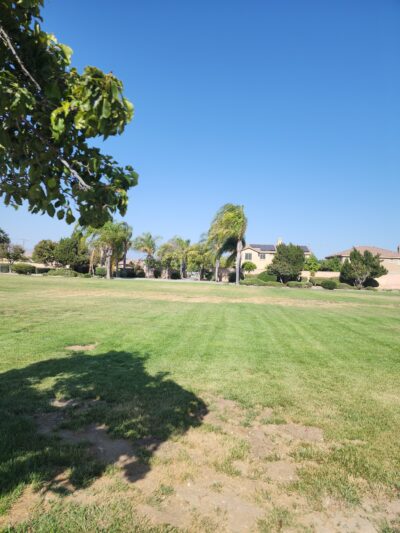 Dog Park - Hemet, CA