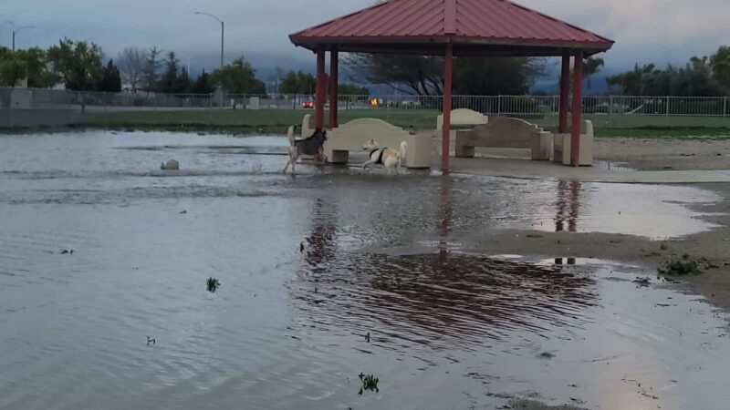 Dog Park - Hemet, CA