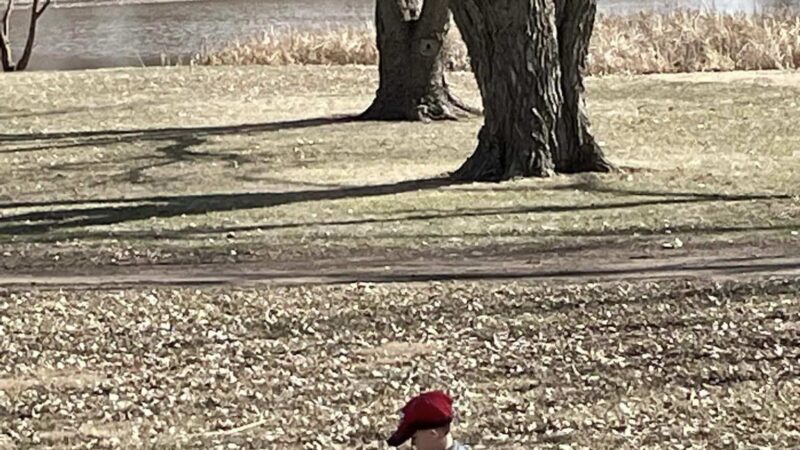 Prairie Oasis RV Park - Henderson, NE