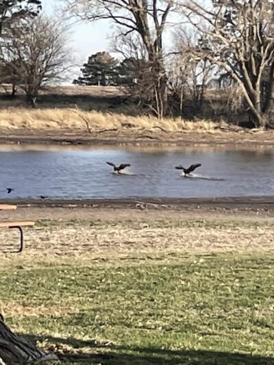 Prairie Oasis RV Park - Henderson, NE