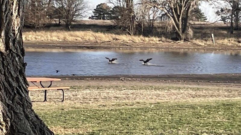 Prairie Oasis RV Park - Henderson, NE