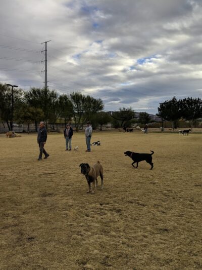 Bark Park - Henderson, NV