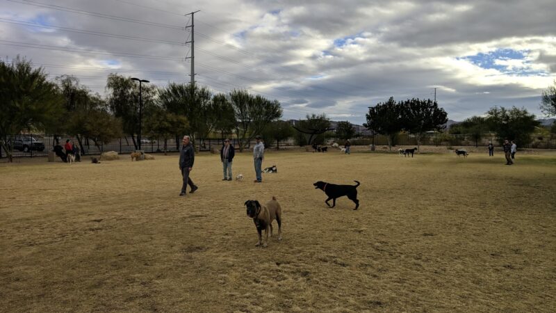 Bark Park - Henderson, NV