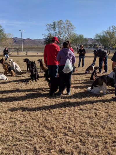 Equestrian Dog Park - Henderson, NV
