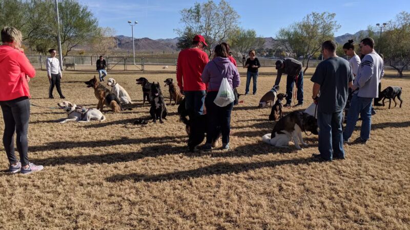 Equestrian Dog Park - Henderson, NV