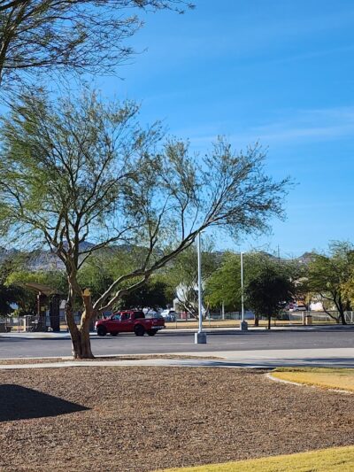 Equestrian Dog Park - Henderson, NV