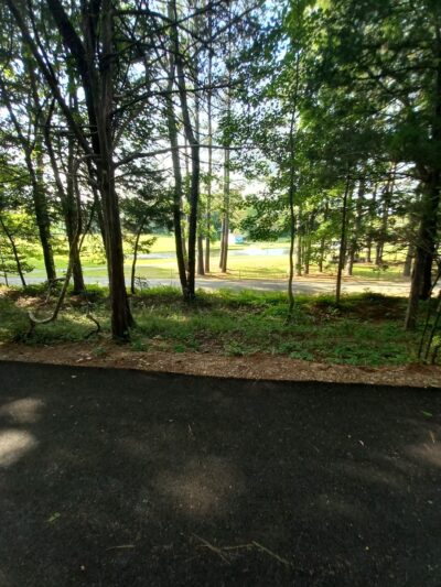 Chester T Dog Park - Henderson, TN