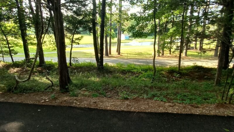 Chester T Dog Park - Henderson, TN