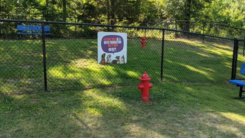 Chester T Dog Park - Henderson, TN