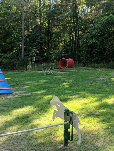 Chester T Dog Park - Henderson, TN