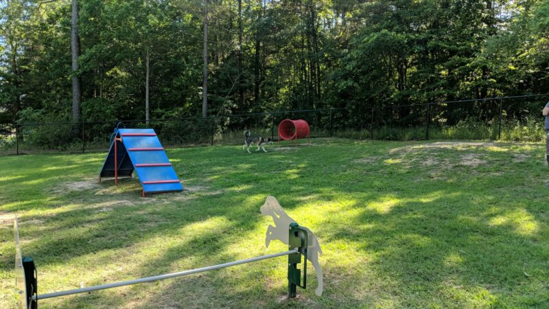 Chester T Dog Park - Henderson, TN