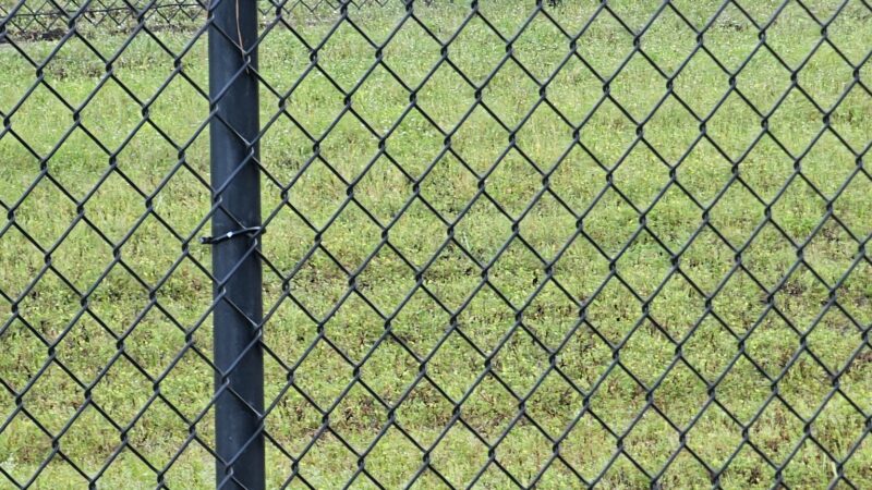 Fair Paws Dog Park - Henderson, TX