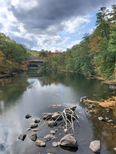Azalea Park - Henniker, NH