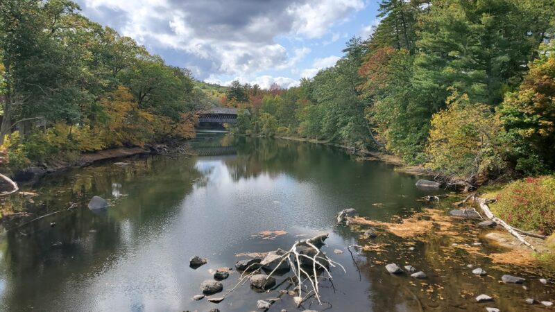 Azalea Park - Henniker, NH