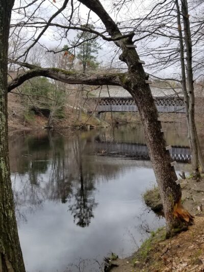 Azalea Park - Henniker, NH