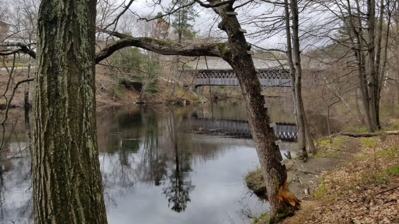 Azalea Park - Henniker, NH