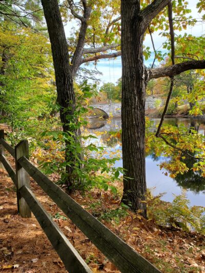 Azalea Park - Henniker, NH