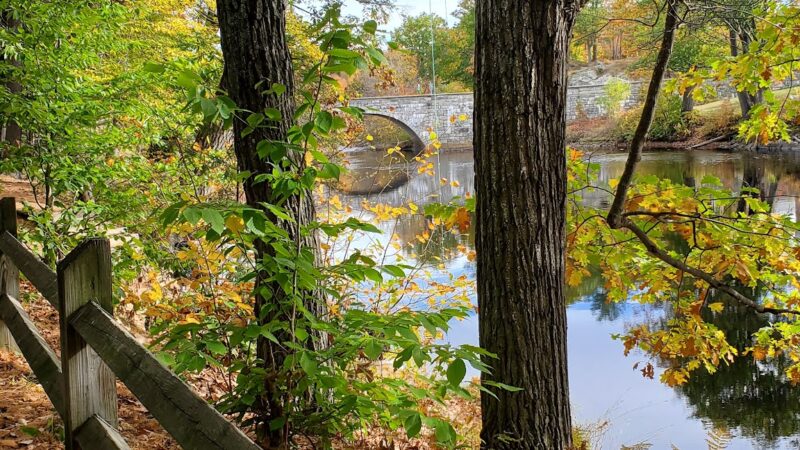 Azalea Park - Henniker, NH