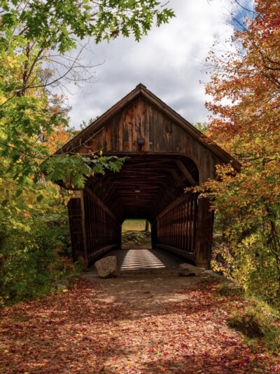 Azalea Park - Henniker, NH