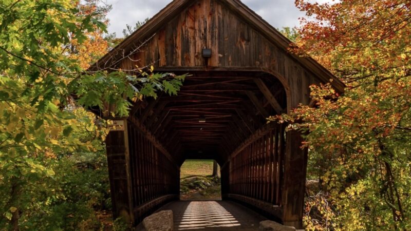 Azalea Park - Henniker, NH