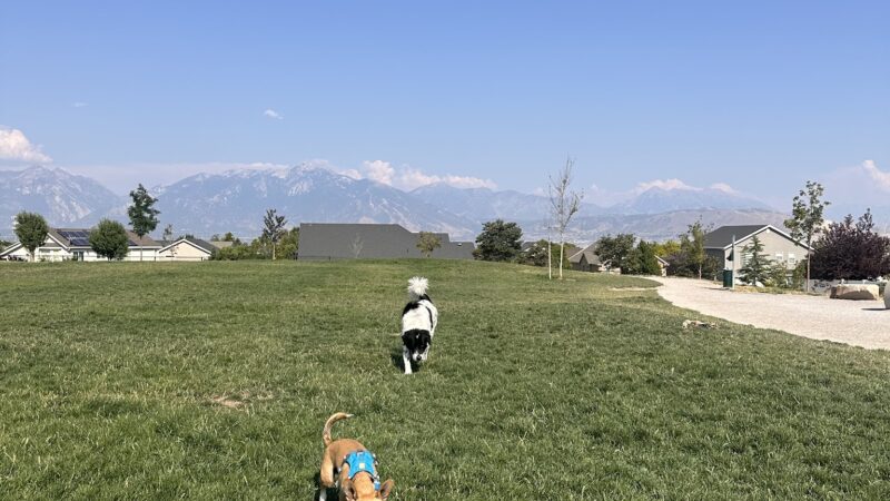 Herriman dog park - Herriman, UT