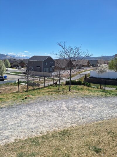 Herriman dog park - Herriman, UT