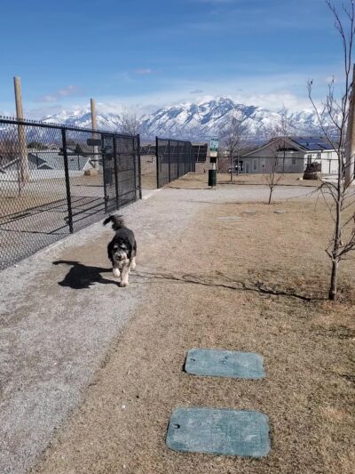 K9 Memorial Dog Park - Herriman, UT