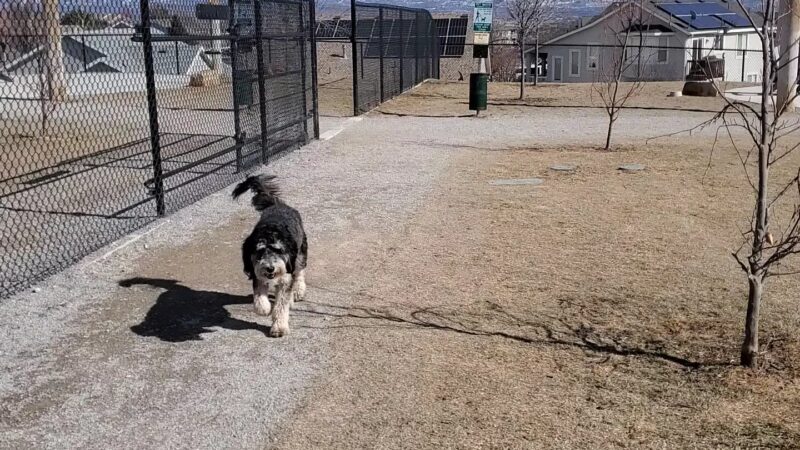 K9 Memorial Dog Park - Herriman, UT