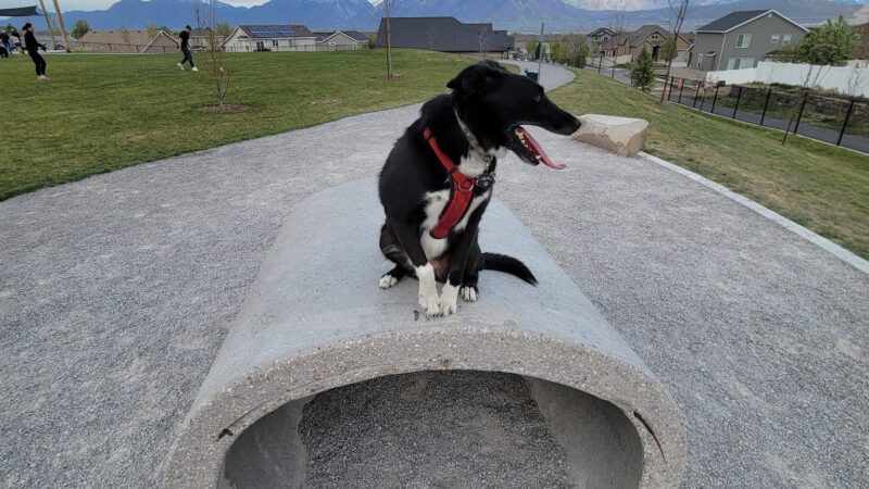 K9 Memorial Dog Park - Herriman, UT