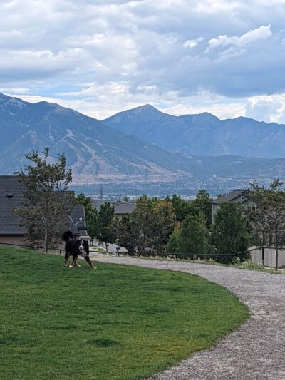 K9 Memorial Dog Park - Herriman, UT