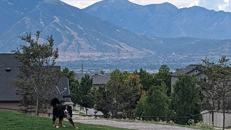 K9 Memorial Dog Park - Herriman, UT