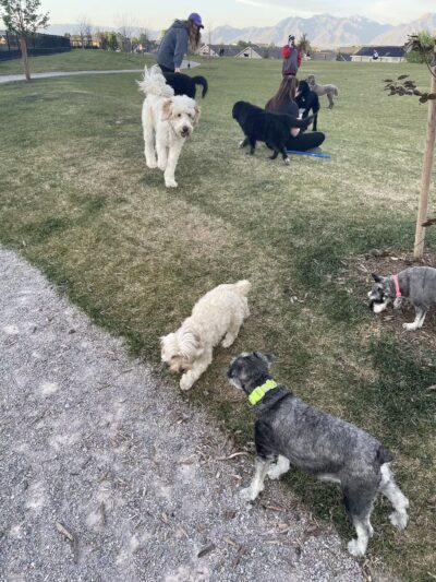 K9 Memorial Dog Park - Herriman, UT