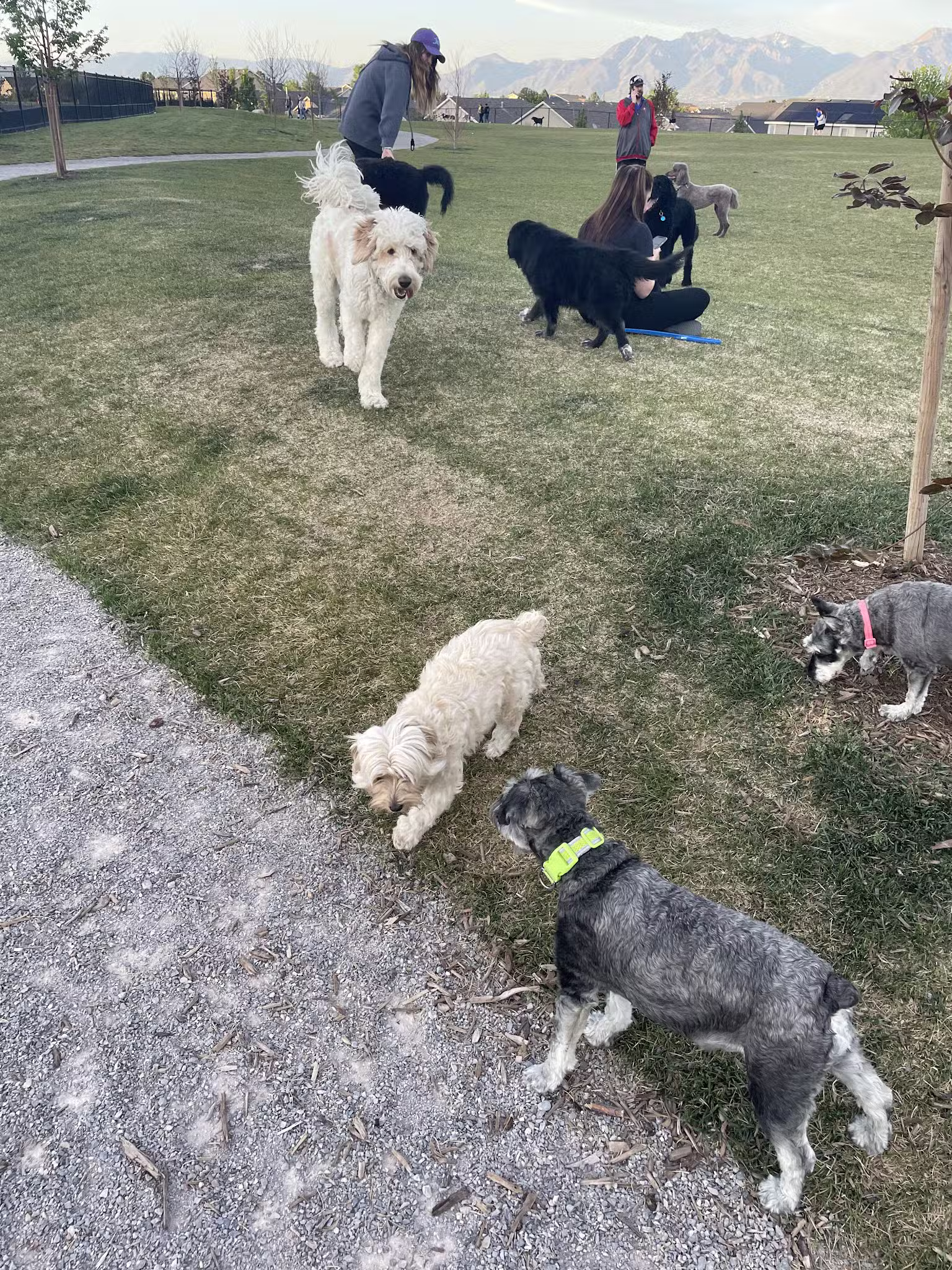 K9 Memorial Dog Park - Herriman, UT