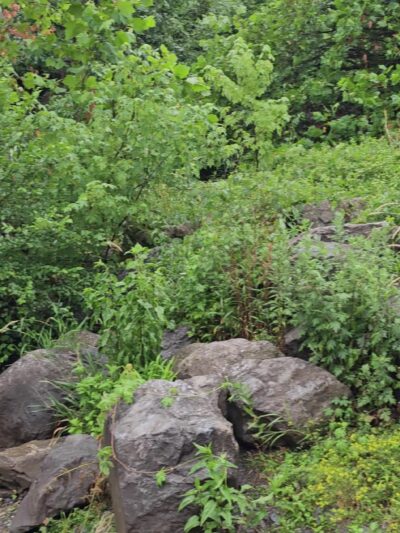 Swatara Creek Park - Hershey, PA