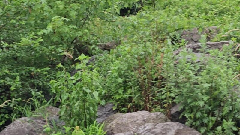 Swatara Creek Park - Hershey, PA