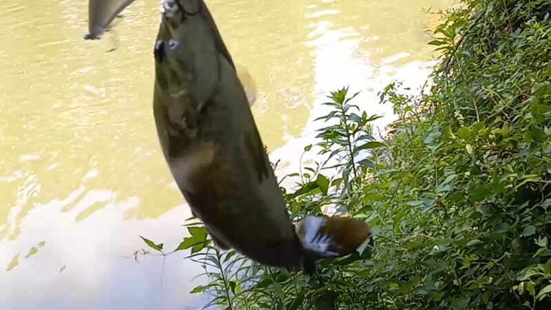Swatara Creek Park - Hershey, PA