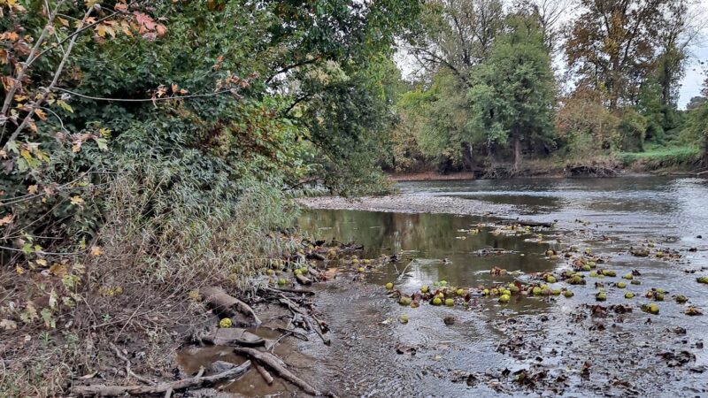 Swatara Creek Park - Hershey, PA
