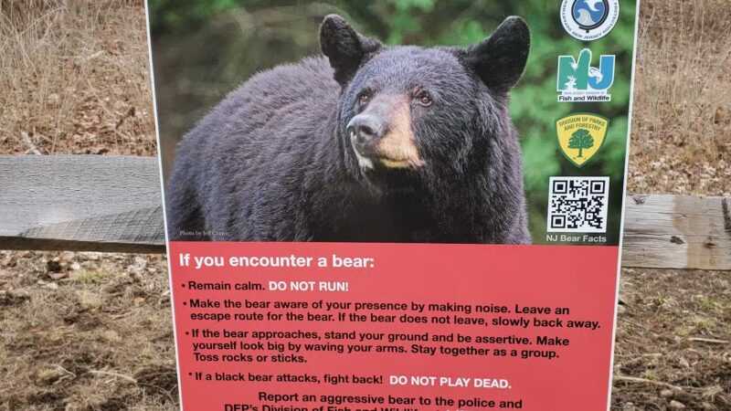 Highlands Preserve - Hewitt, NJ