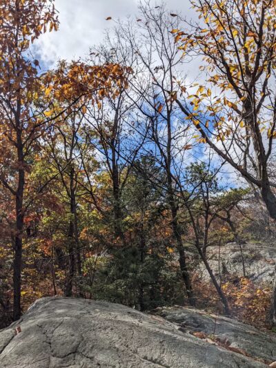 Highlands Preserve - Hewitt, NJ