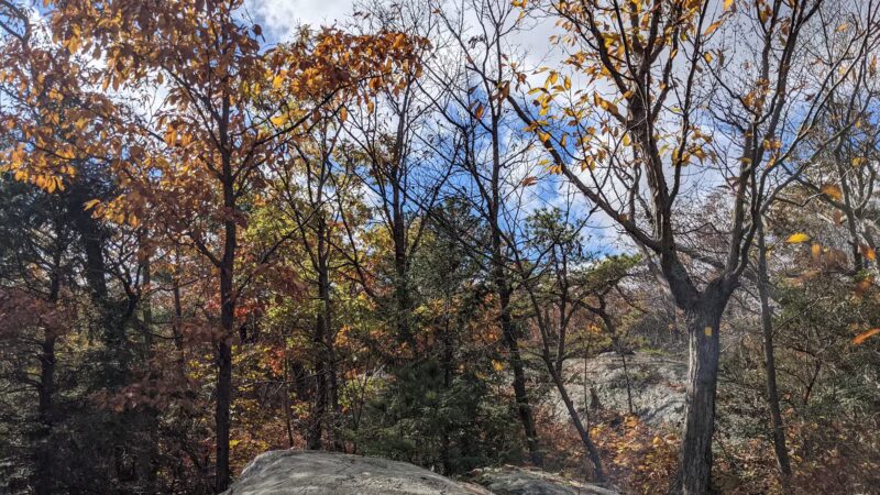 Highlands Preserve - Hewitt, NJ