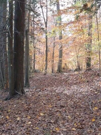 Long Pond Ironworks State Park - Hewitt, NJ