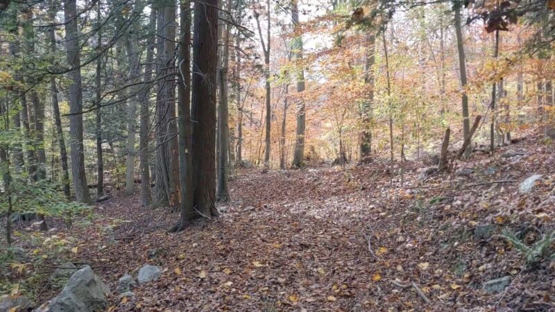 Long Pond Ironworks State Park - Hewitt, NJ