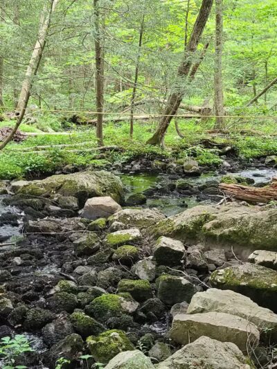 Long Pond Ironworks State Park - Hewitt, NJ