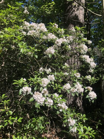 San Cap Recreation Area - Hewitt, NJ