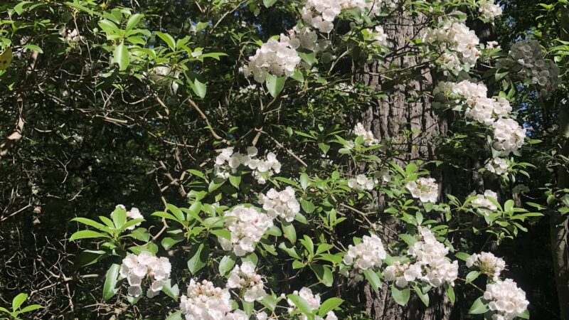 San Cap Recreation Area - Hewitt, NJ