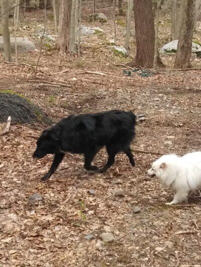 San Cap Recreation Area - Hewitt, NJ