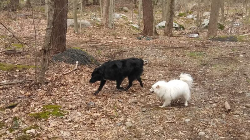 San Cap Recreation Area - Hewitt, NJ